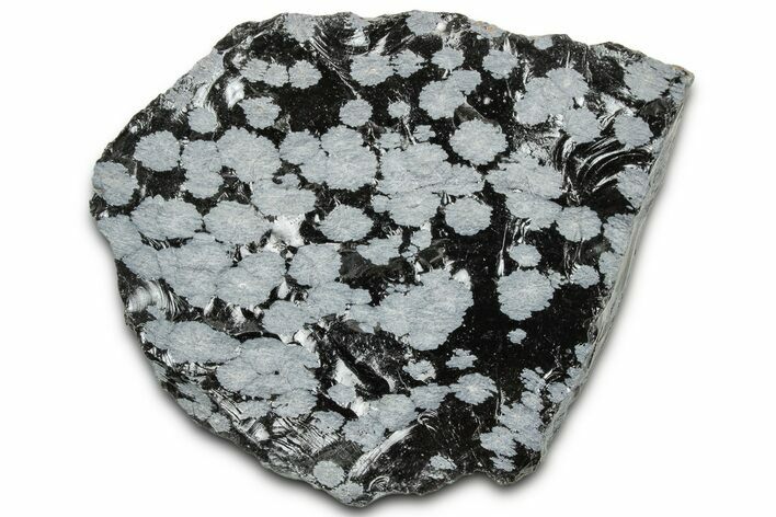 Snowflake Obsidian Section - Utah #327111